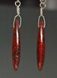 Ruby Red, Agatized Dinosaur Bone (Gembone) Earrings #84745-3
